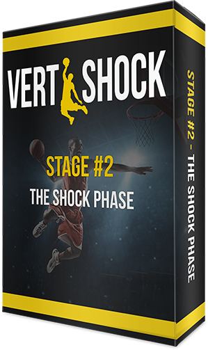 vert shock stage 2 - the shock phase